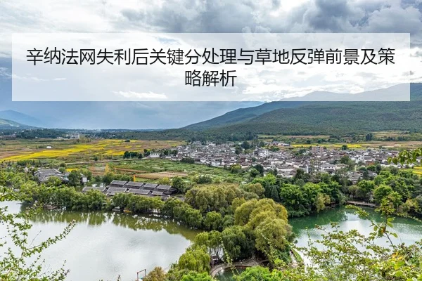 xin-na-fa-wang-shi-li-hou-guan-jian-fen-chu-li-yu-cao-di-fan-tan-qian-jing-ji-ce-lve-jie-xi-2-417.jpg