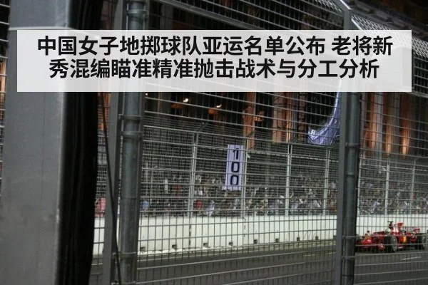 中国女子地掷球队亚运名单公布 老将新秀混编瞄准精准抛击战术与分工分析